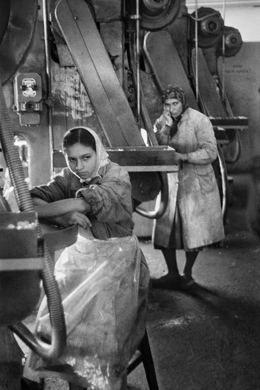 Ara Güler - Taşlıtarla, Isztambul, 1959 © Ara Güler Museum | Ara Güler - Taşlıtarla, Istanbul, 1959 © Ara Güler Museum