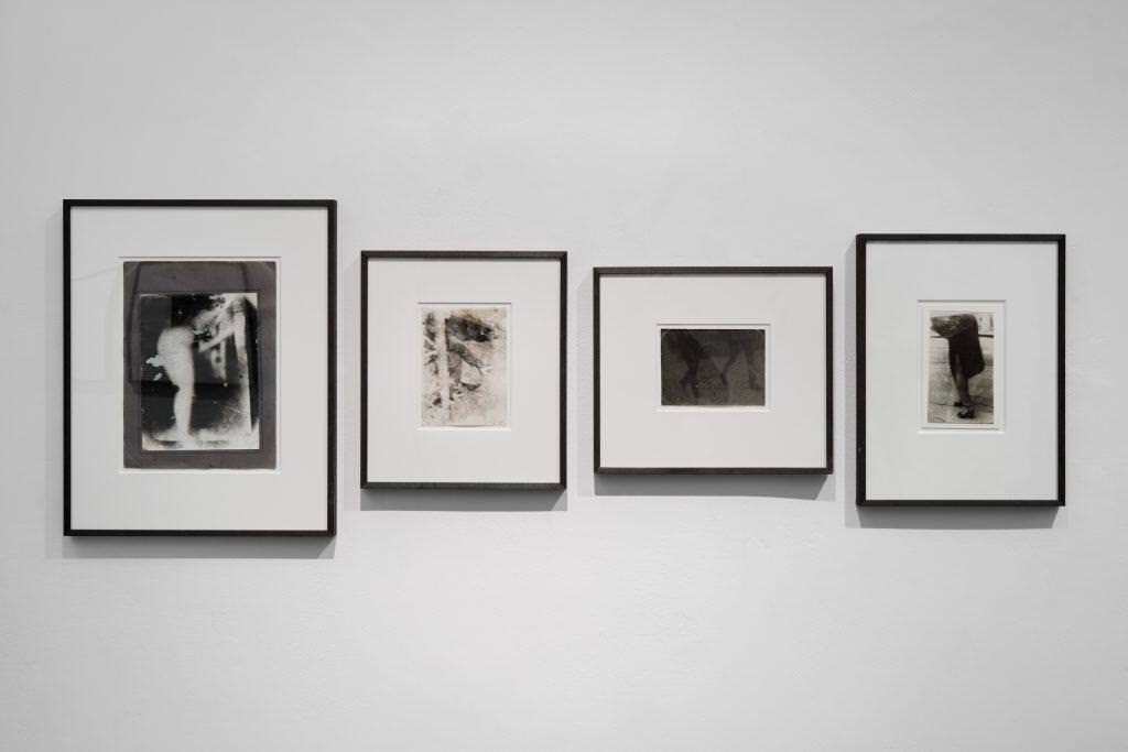 photobrut enterior 56