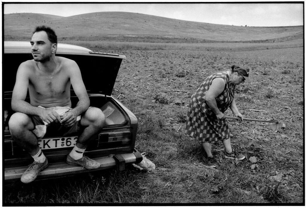 14 © benko imre csaladi gazdasag. szecsenyfelfalu 2003 1024x696