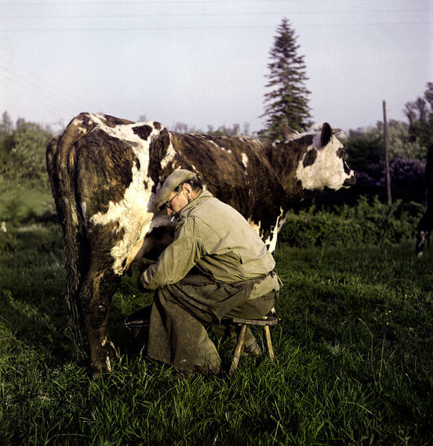 france. normandy. 1947. a farmer wearing a discarded us army jacket.
