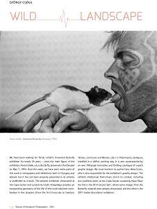 review of hungarian photography issue 02 106